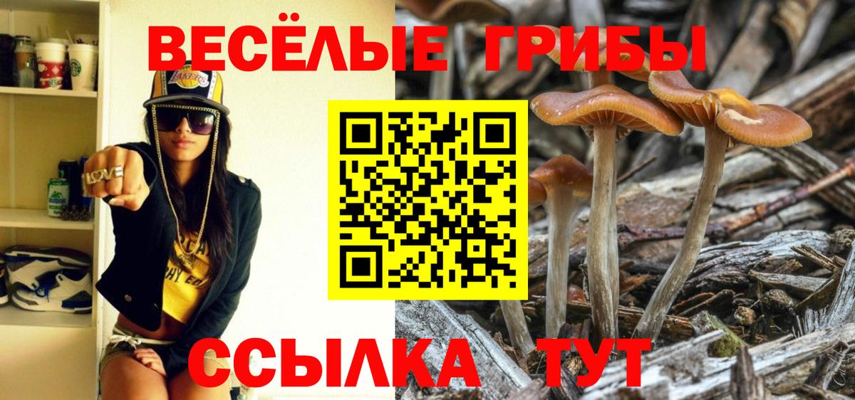 Галлюциногенные грибы GOLDEN TEACHER Губаха