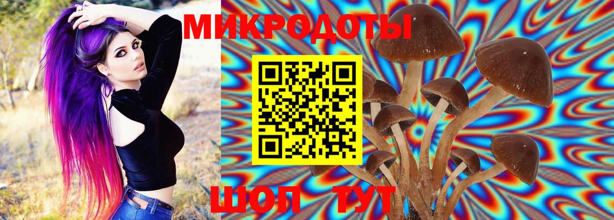 Губаха  как найти   Вход с VPN  Галлюциногенные грибы ЛСД 